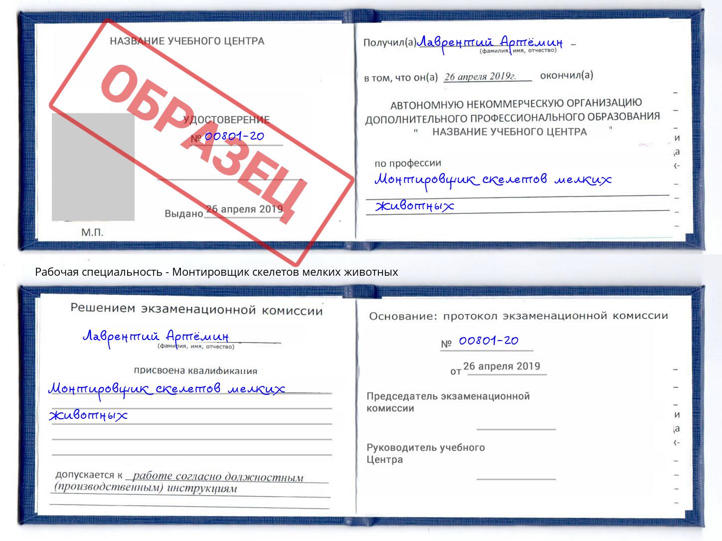 Монтировщик скелетов мелких животных Белорецк