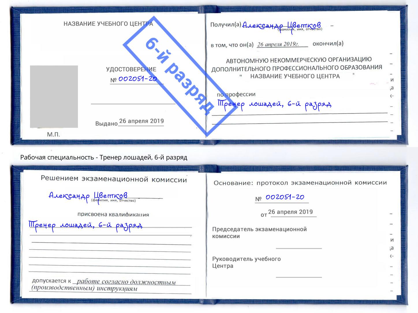 корочка 6-й разряд Тренер лошадей Белорецк